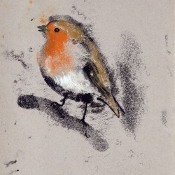 Robin