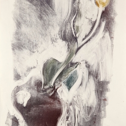 Tulip-in-a-vase-2