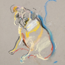 PUG-1